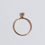 Blake Ring - Rose Gold