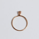 Blake Ring - Rose Gold